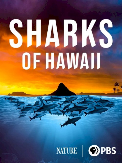 Sharks of Hawaii - Movie Poster Sharks of Hawaii - Movie Poster