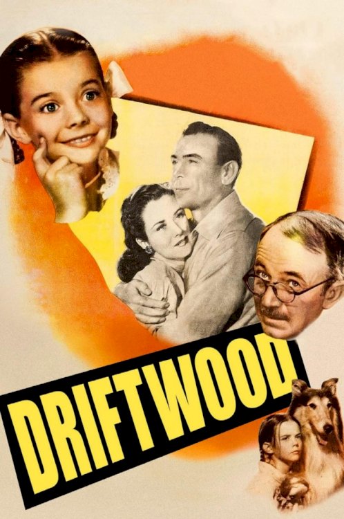 Driftwood - Movie Poster Driftwood - Movie Poster