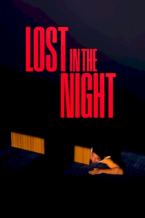Lost in the Night - Movie Poster