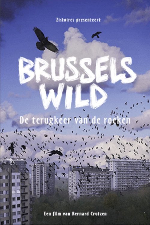 Bruxelles Sauvage - Le retour des corbeaux - Movie Poster