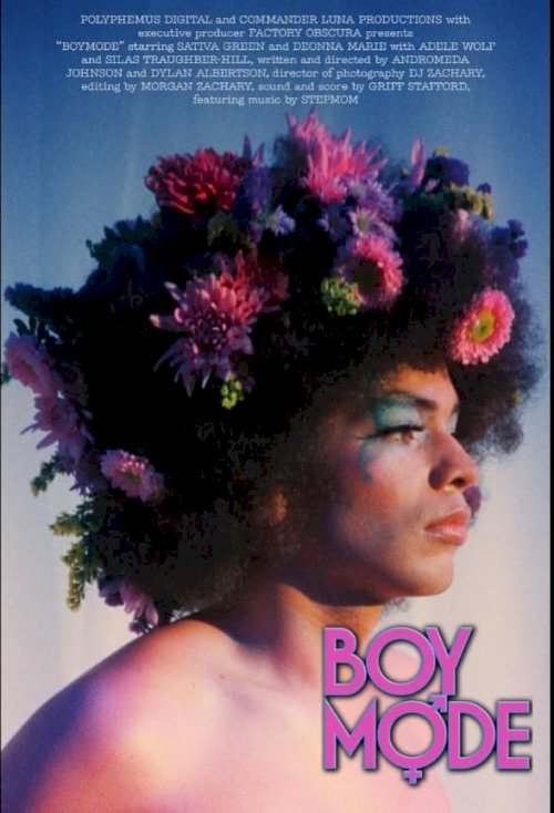 Boy Mode - Movie Poster Boy Mode - Movie Poster