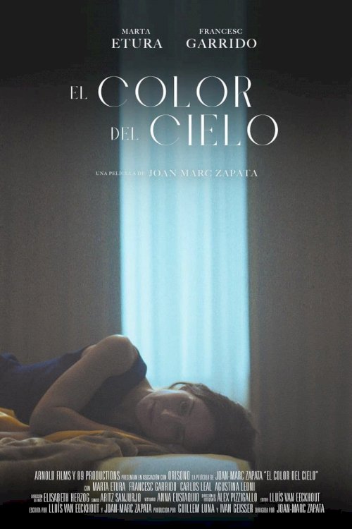 Color of Heaven - Movie Poster Color of Heaven - Movie Poster