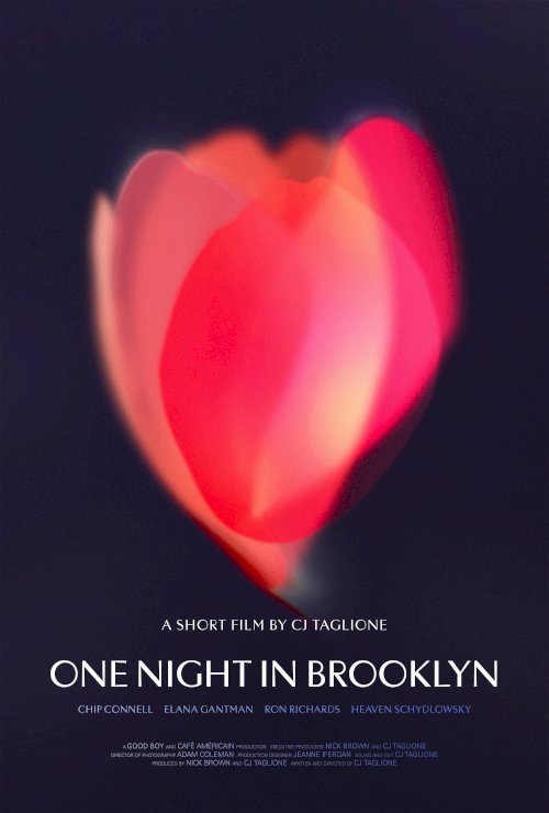 One Night in Brooklyn - Movie Poster One Night in Brooklyn - Movie Poster