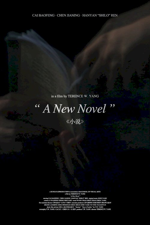 A New Novel - Movie Poster A New Novel - Movie Poster