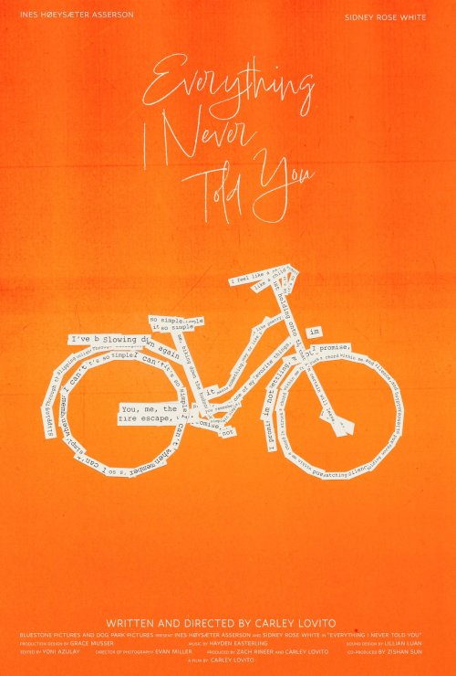 Everything I Never Told You - Movie Poster