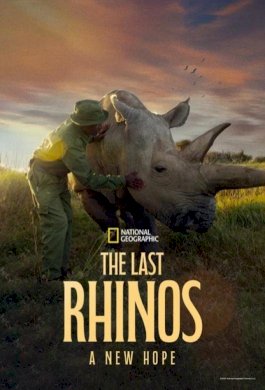 The Last Rhinos: A New Hope - Movie Poster