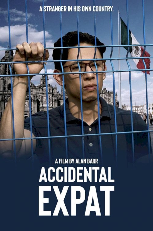 Accidental Expat - Movie Poster