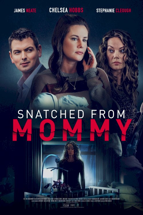 Snatched from Mommy - Movie Poster Snatched from Mommy - Movie Poster