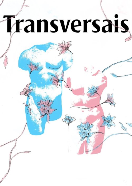 Transversais - Movie Poster Transversais - Movie Poster