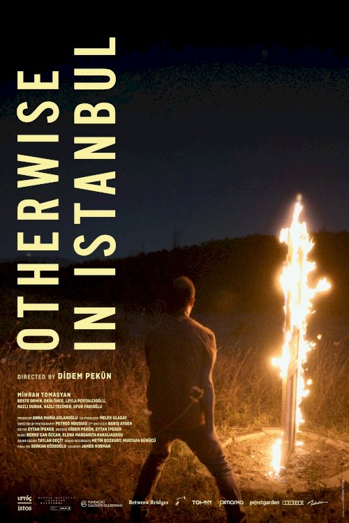 Otherwise in Istanbul - Movie Poster