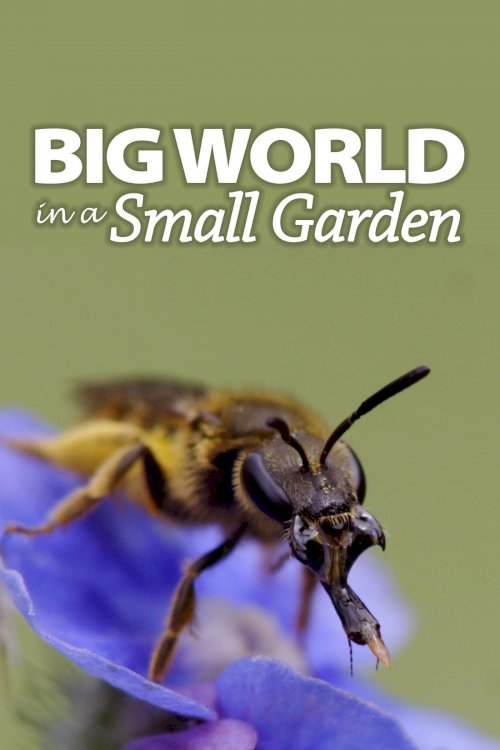 Big World In A Small Garden - Movie Poster Big World In A Small Garden - Movie Poster
