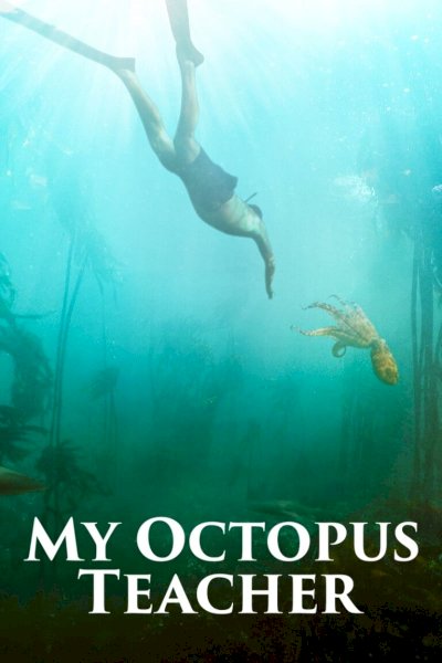 My Octopus Teacher - Movie Poster My Octopus Teacher - Movie Poster