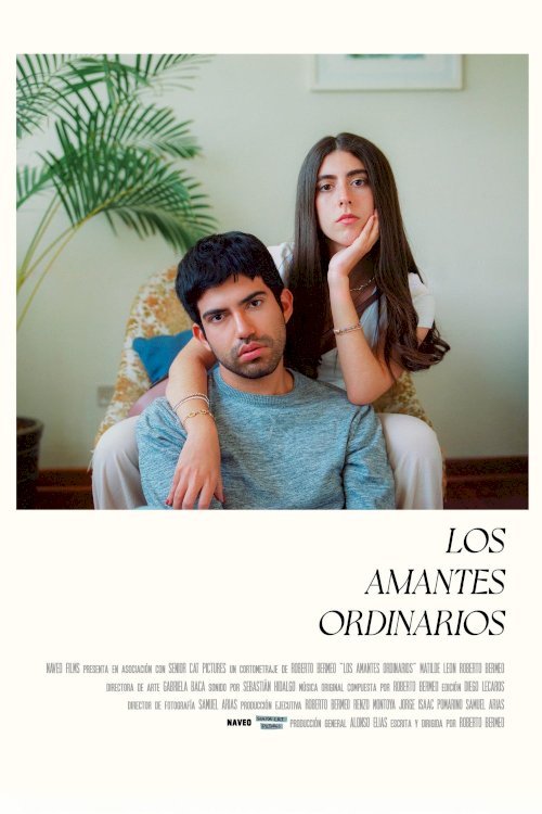 The Ordinary Lovers - Movie Poster The Ordinary Lovers - Movie Poster