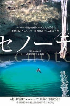 Cenote - Movie Poster Cenote - Movie Poster