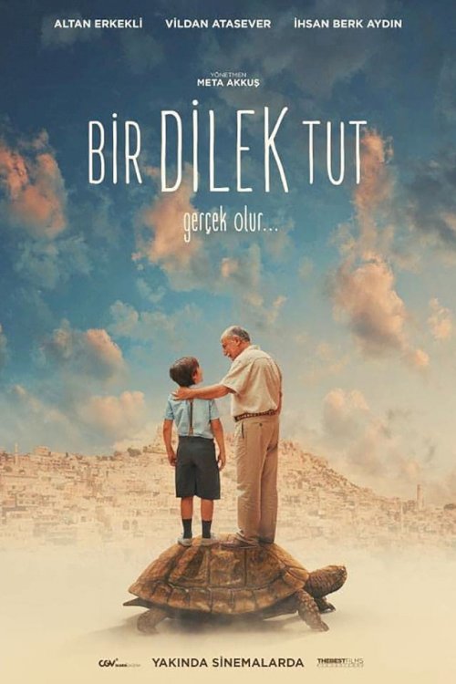 Make a Wish - Movie Poster Make a Wish - Movie Poster