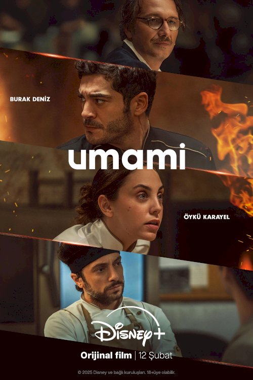 Cooked - Movie Poster Cooked - Movie Poster