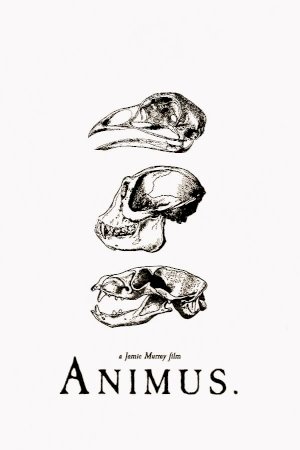 Animus - Movie Poster Animus - Movie Poster