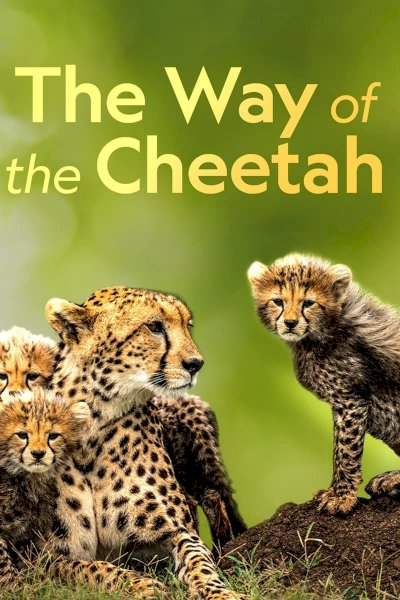 The Way of the Cheetah - Movie Poster The Way of the Cheetah - Movie Poster