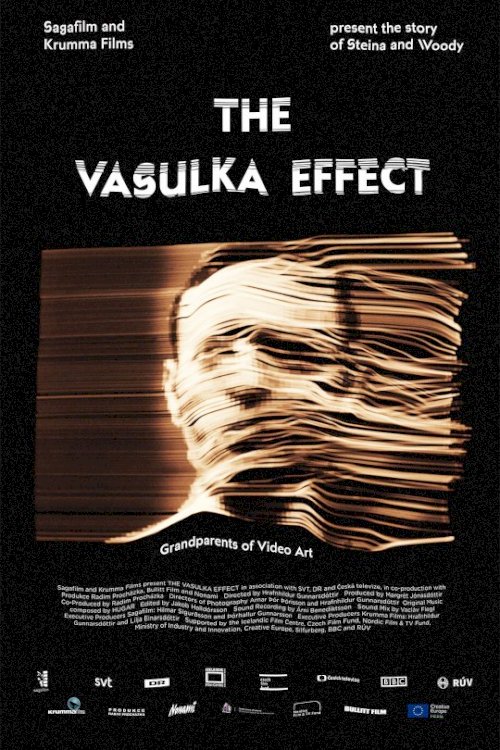 The Vasulka Effect - Movie Poster The Vasulka Effect - Movie Poster