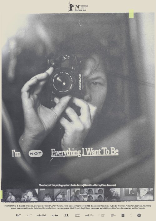 I'm Not Everything I Want to Be - Movie Poster
