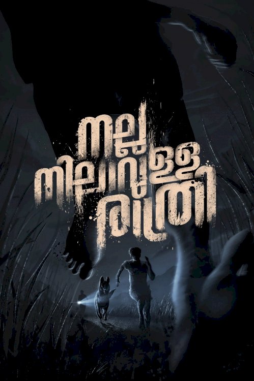 Nalla Nilavulla Rathri - Movie Poster Nalla Nilavulla Rathri - Movie Poster