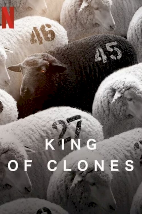 King of Clones - Movie Poster King of Clones - Movie Poster