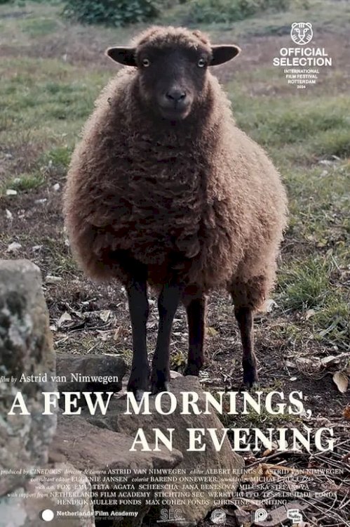 A Few Mornings, an Evening - Movie Poster A Few Mornings, an Evening - Movie Poster
