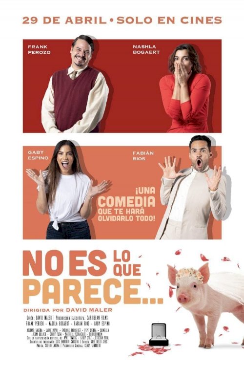 No es lo que parece - Movie Poster No es lo que parece - Movie Poster