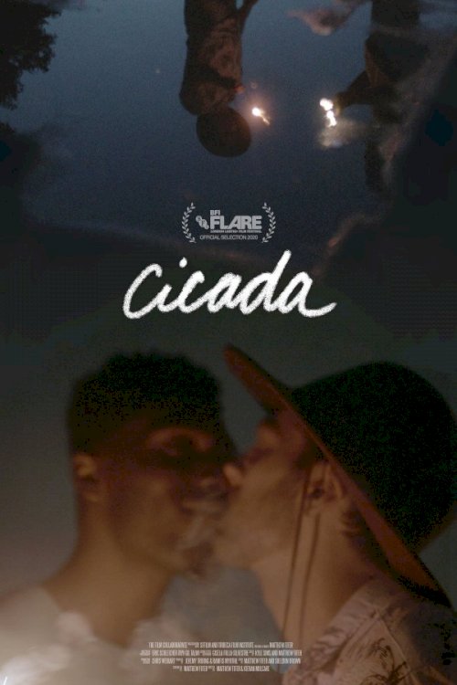 Cicada - Movie Poster Cicada - Movie Poster