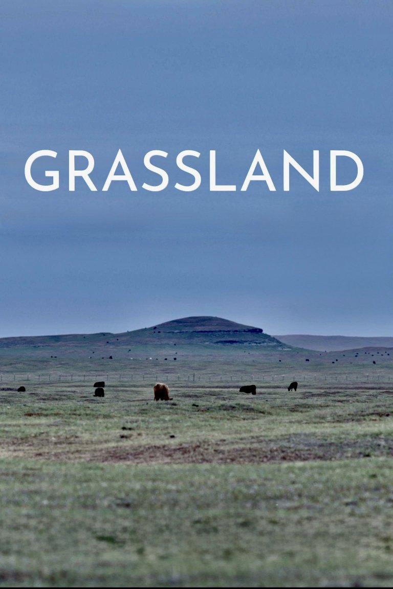 Grassland - Movie Poster Grassland - Movie Poster