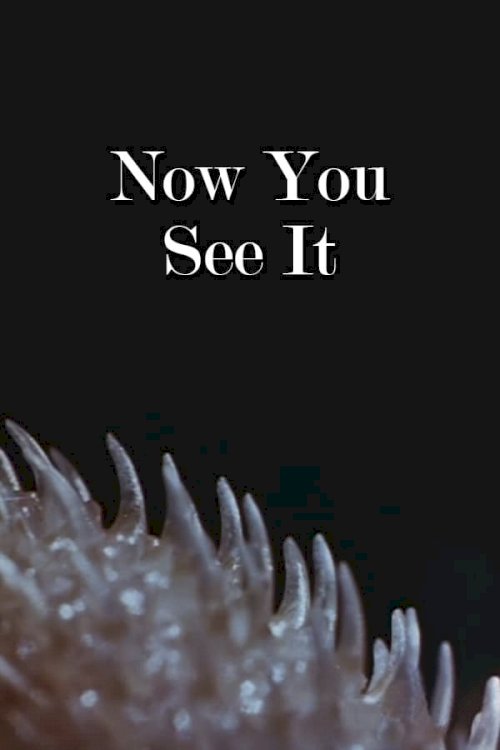Now You See It - Movie Poster Now You See It - Movie Poster