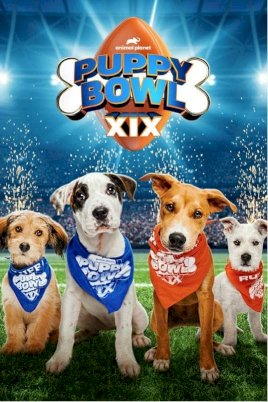 Puppy Bowl XIX - Movie Poster Puppy Bowl XIX - Movie Poster