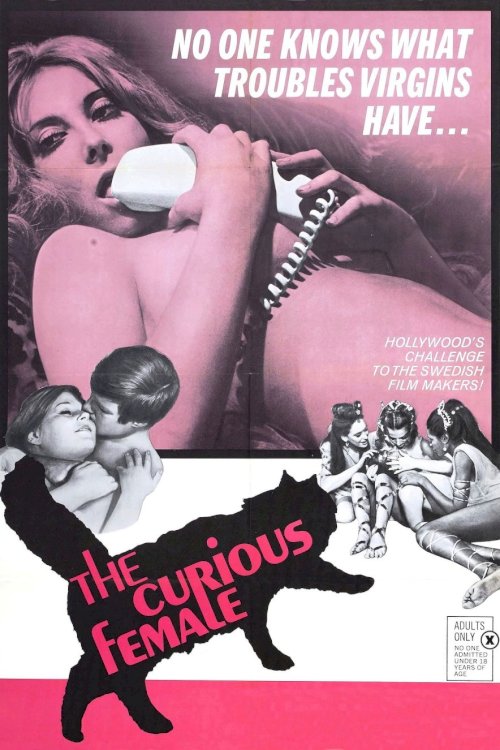 The Curious Female - Movie Poster