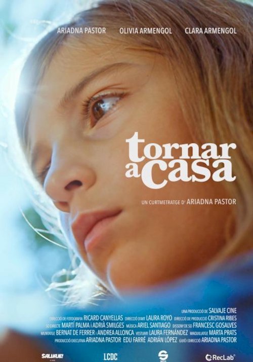 Tornar a casa - Movie Poster Tornar a casa - Movie Poster