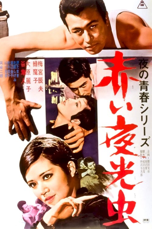 Nocturnal Lights - Movie Poster Nocturnal Lights - Movie Poster