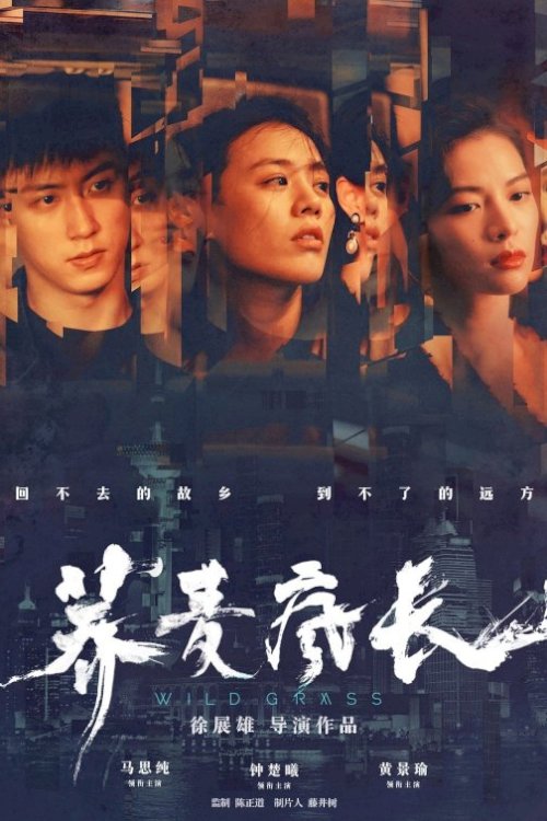 Wild Grass - Movie Poster Wild Grass - Movie Poster
