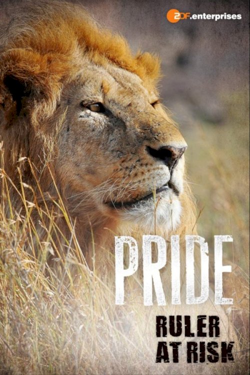 Pride Ruler at Risk - Movie Poster Pride Ruler at Risk - Movie Poster