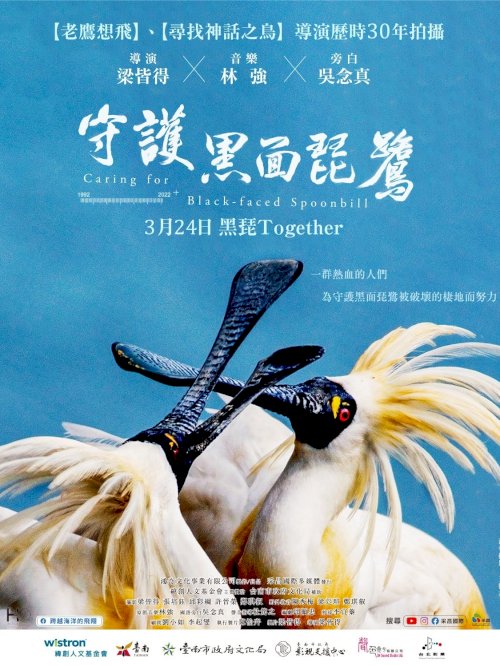 Caring for Black-Faced Spoonbill - Movie Poster Caring for Black-Faced Spoonbill - Movie Poster