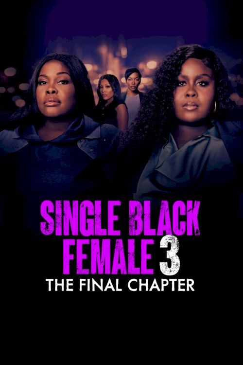 Single Black Female 3: The Final Chapter - Movie Poster Single Black Female 3: The Final Chapter - Movie Poster