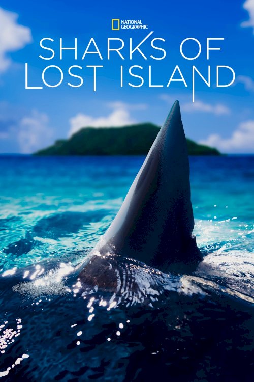 Sharks of Lost Island - Movie Poster Sharks of Lost Island - Movie Poster