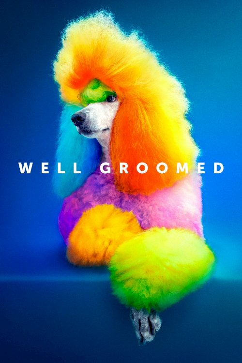 Well Groomed - Movie Poster Well Groomed - Movie Poster