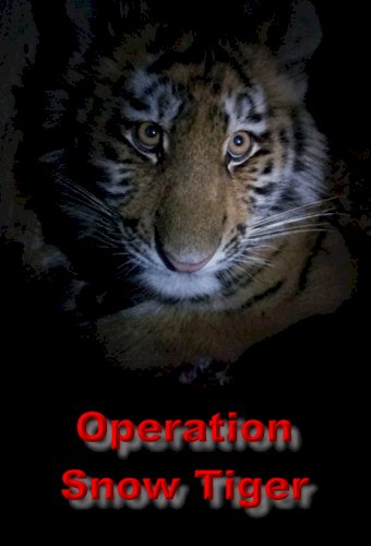 Operation Snow Tiger