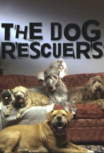 The Dog Rescuers