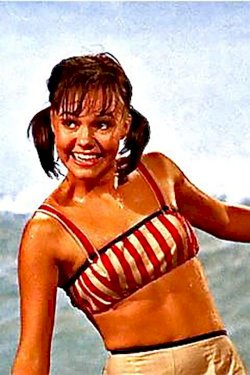 Gidget