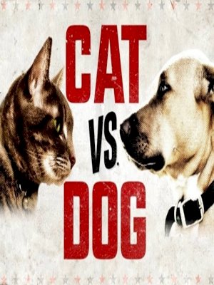Cat Vs. Dog