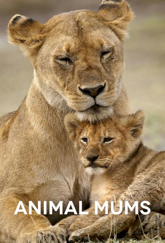 Animal Mums