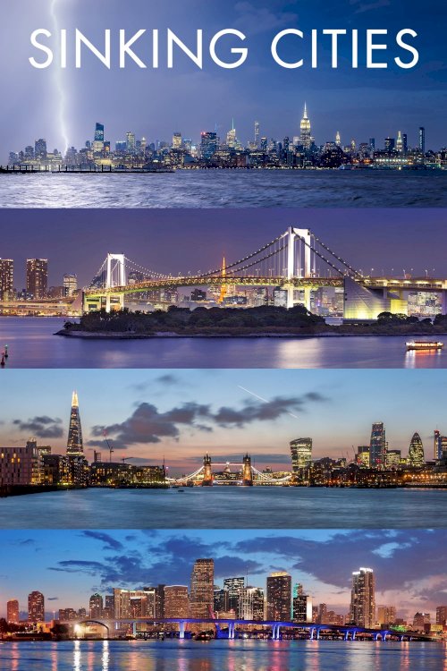 Sinking Cities