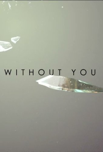 Without You