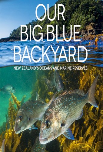 Our Big Blue Backyard