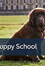 Puppy School